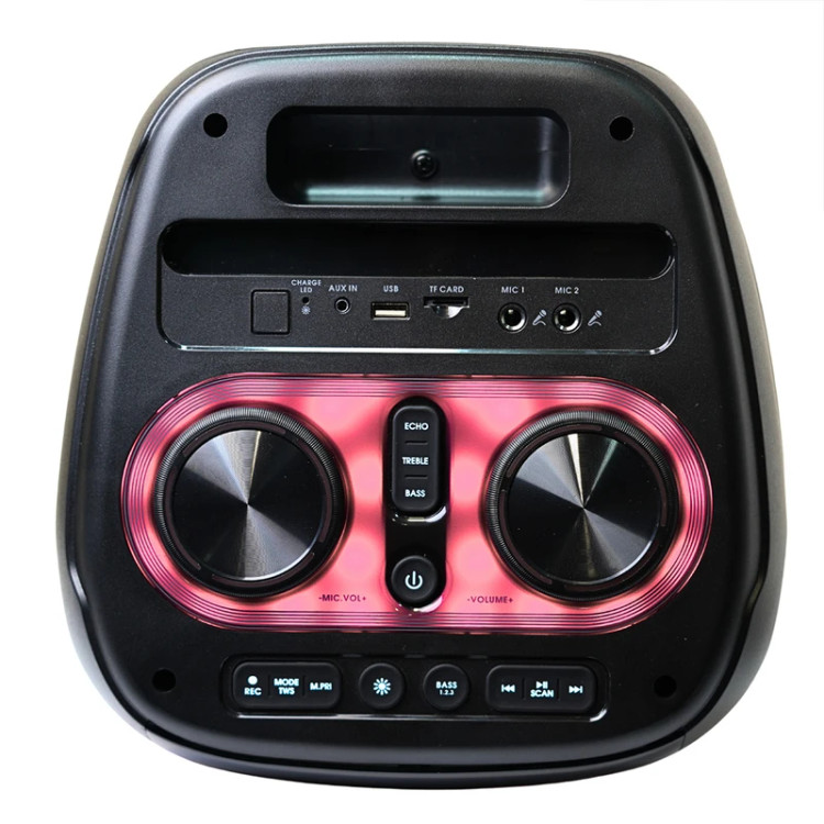 80 وات ProOne مدل Party Vibe PSB4976